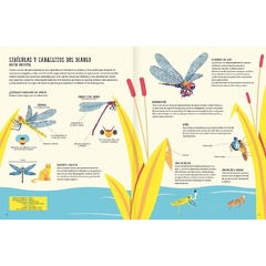 Imagen de Insectopedia - Daniel Aguilera Olivares e Itza Maturana