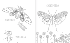 Insectopinta - Daniel Aguilera-Olivares e Itza Maturana - comprar online