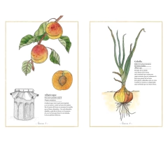 Inventario ilustrado de frutas y verduras - Virginie Aladjidi en internet