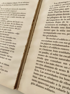 El inventor de juegos USADO - Pablo de Santis - comprar online