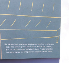 Nuestro árbol de jacarandá- Carolina Mora, Natalia Liguori y Maca Flores - La Livre - El oficio de las palabras