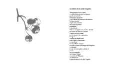 La Señora De La Calle Cangallo/ Bajo el burlón mirar de las estrellas - Laura Devetach y Gustavo Roldán - comprar online