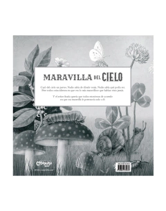 Maravilla del Cielo - Terry Fan y Eric Fan - tienda online