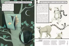 Olor animal en internet