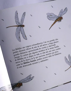 Viajeros Extraordinarios - Gastón Hauviller - tienda online