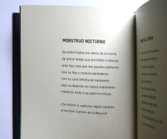 Imagen de La noche en el bolsillo - Pedro Mañas y Mariana Ruiz Johnson