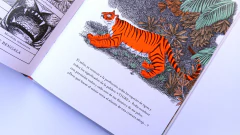 Panthera Tigris - Sylvain Alzial y Hélène Rajcak en internet