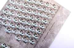 Cuando estamos juntas - María Wernicke en internet