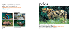 Pelos y más Pelos - Cassie Mayer - comprar online