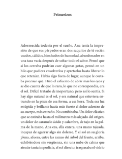 QUERER ES PERDER - SALOME ESPER en internet