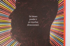 Quince ocasiones para pedir deseos en la calle - Nicolas Schuff, Maguma - tienda online
