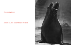 Todos lo vieron - Ylla y Margaret Wise Brown - comprar online