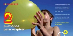 Tu Cuerpo del 1 al 10 - Carla Baredes, Ileana Lotersztain y Pablo Grancharoff - La Livre - Librería de barrio