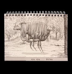 Animalario universal del profesor Revillod - comprar online