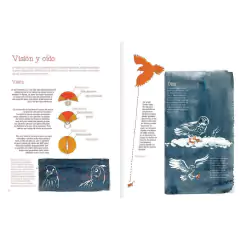 Vuelo de pájaros americanos - Juan José Donoso y Raquel Echenique en internet