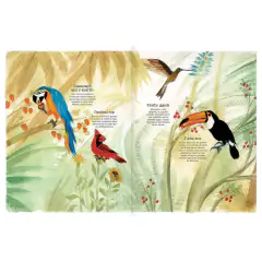 Vuelo de pájaros americanos - Juan José Donoso y Raquel Echenique - La Livre - El oficio de las palabras