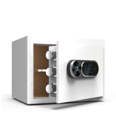 Liviana Plus - Borges Buenos Aires