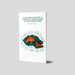 Intervención del Estado en contexto de violencia contra la mujer indígena QOM