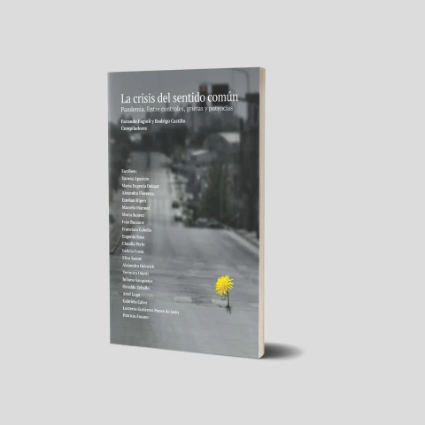 La crisis del sentido común. Pandemia. Entre controles, grietas y potencias