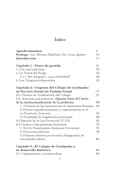La profesionalización del Trabajo Social. El caso de la Tierra del Fuego - comprar online