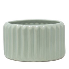 DÚO MACETA CARRUSEL M + HOYA KERRII - tienda online