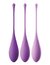 FANTASY FOR HER KEGEL TRAIN-HER SET