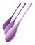 FANTASY FOR HER KEGEL TRAIN-HER SET en internet