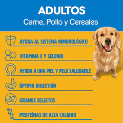 PEDIGREE ADULTO CARNE, POLLO Y CEREALES X 21 KG - Timoteo Pet Shop