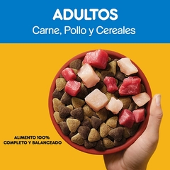 PEDIGREE ADULTO CARNE, POLLO Y CEREALES X 21 KG - tienda online