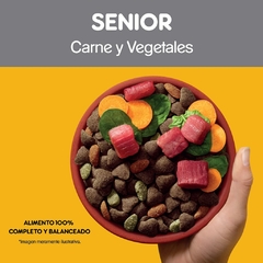 PEDIGREE SENIOR +7 AÑOS X 8 KG - tienda online