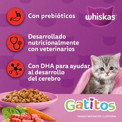WHISKAS GATITO CARNE Y LECHE X 10 KG en internet