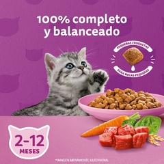 WHISKAS GATITO CARNE Y LECHE X 10 KG - Timoteo Pet Shop