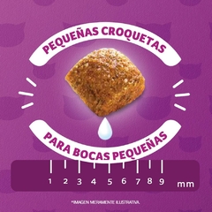 WHISKAS GATITO CARNE Y LECHE X 10 KG - tienda online