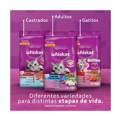 WHISKAS PESCADO X 10 KG - comprar online