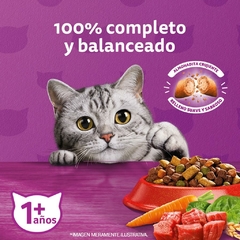 WHISKAS CARNE X 10 KG - Timoteo Pet Shop