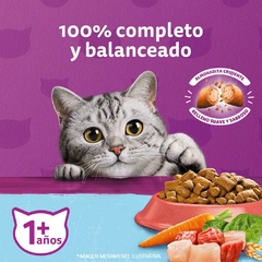 WHISKAS CASTRADOS MIX CARNES X 10 KG - tienda online
