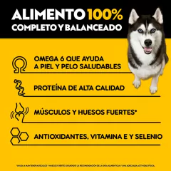 PEDIGREE ADULTO HIGH PROTEIN CARNE Y POLLO x 21 KG - comprar online