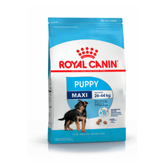 ROYAL CANIN MAXI PUPPY