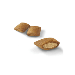 ROYAL CANIN CAT AGEING +12 X 2 KG - comprar online