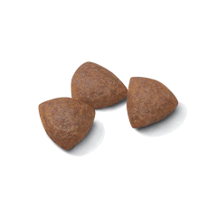 ROYAL CANIN MEDIUM STARTER X 3 KG - comprar online