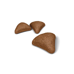 ROYAL CANIN HAIRBALL X 1.5 KG - comprar online