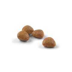ROYAL CANIN ACTIVE +7 X 1.5 KG - comprar online