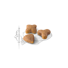 ROYAL CANIN SENSIBLE - comprar online