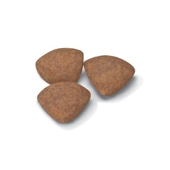 ROYAL CANIN MINI PUPPY - comprar online