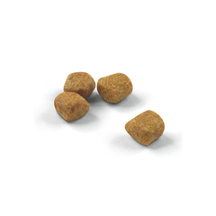 ROYAL CANIN INDOOR +7 - comprar online