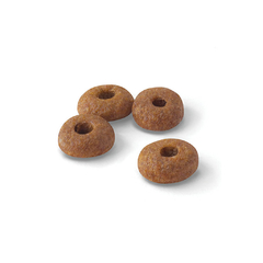 ROYAL CANIN FIT - comprar online