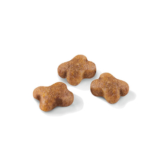 ROYAL CANIN KITTEN - comprar online