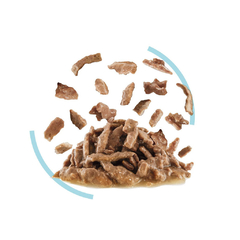 ROYAL CANIN POUCH SENSORY FEEL - comprar online