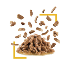 ROYAL CANIN POUCH SENSORY TASTE - comprar online