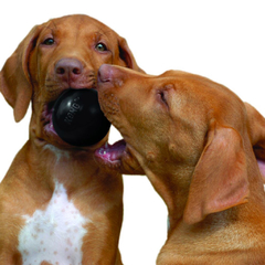KONG BALL EXTREME - Timoteo Pet Shop